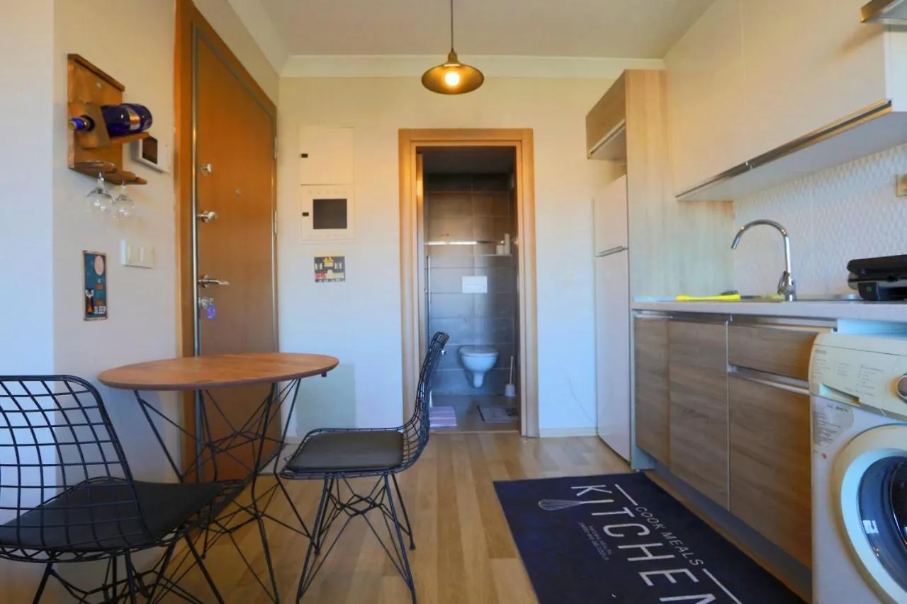 Studio Flat With S Apartment Istanbul Turkey