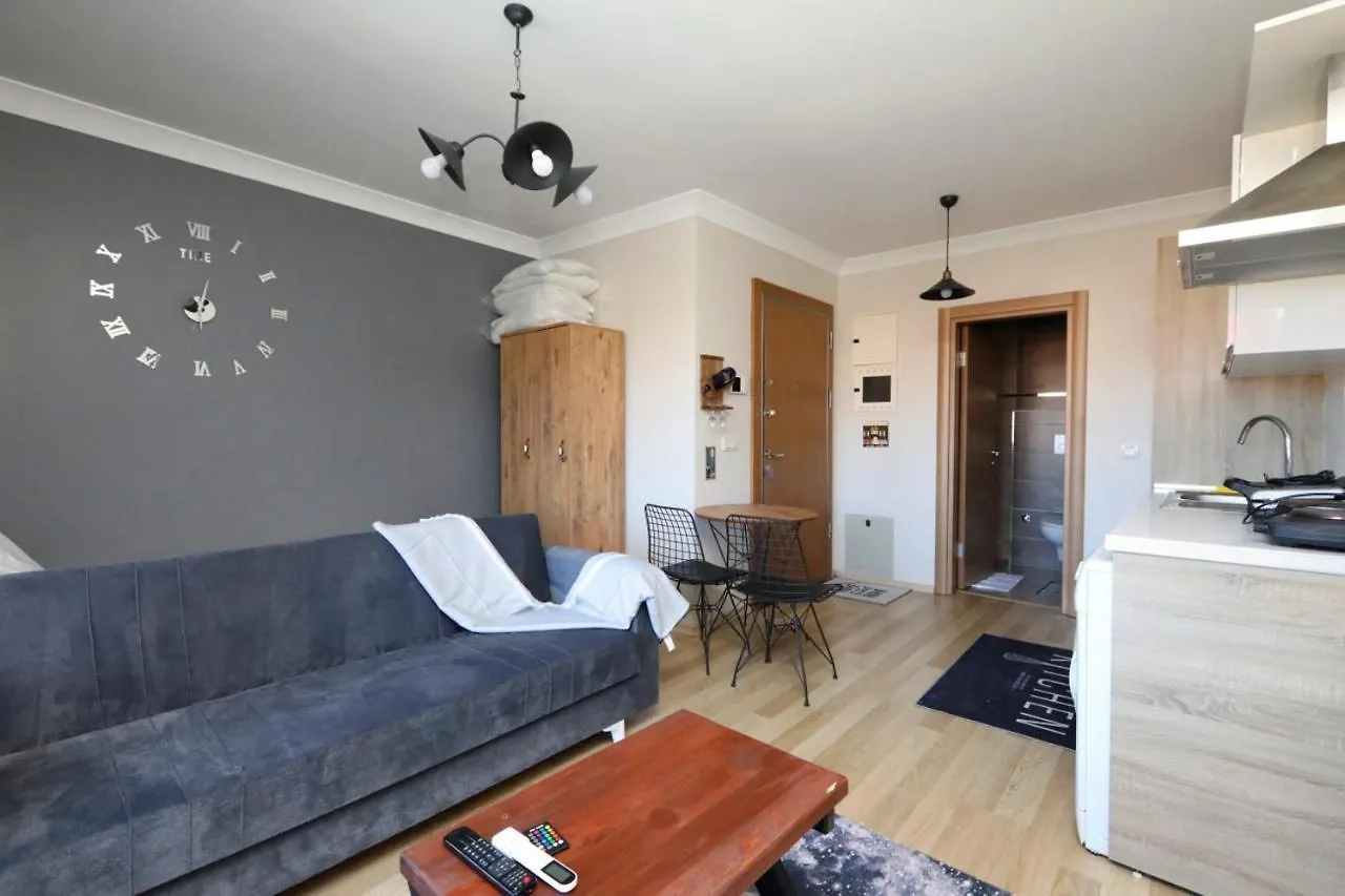 Studio Flat With S Apartment Istanbul