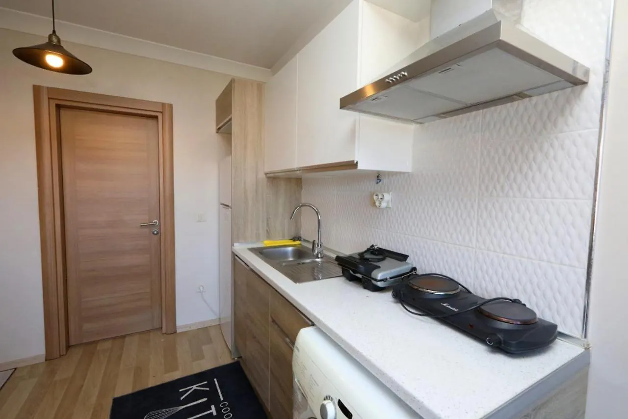 Studio Flat With S Apartment Istanbul 0*,